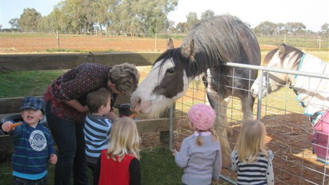 Cabarita Lodge - Australia Accommodation 4