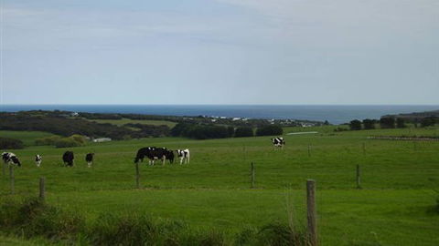 Serenity Views - Australia Accommodation 4