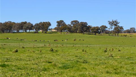 Jamel Lodge - Australia Accommodation 2