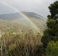 Wattletree Cottage - Australia Accommodation