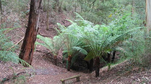 Muxy's Place - Australia Accommodation 1