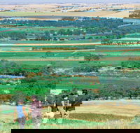 Barossa Best Bed and Breakfast - Australia Accommodation