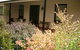 Cotton Palm Cottage - thumb 0