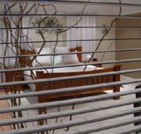 One Tree Bed and Breakfast - Australia Accommodation