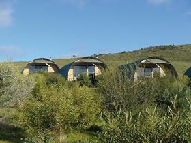 Saunders Gorge Sanctuary - Nature Lodges - Australia Accommodation 0