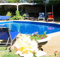 Aarinda Holiday Apartments - Australia Accommodation