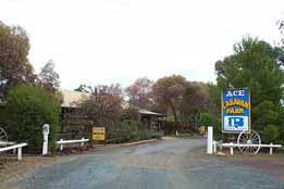 Ace Caravan Park - Australia Accommodation 0