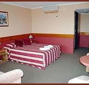 Winsor Park Motor Inn - Australia Accommodation