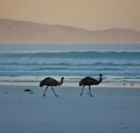 Thomas River Shire Reserve Camp at Cape Arid National Park - Australia Accommodation