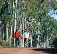Congelin Camp at Dryandra Woodland - Australia Accommodation