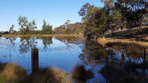 Blueberry Hills On Comleroy - Australia Accommodation 8