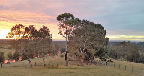 Blueberry Hills On Comleroy - Australia Accommodation 9