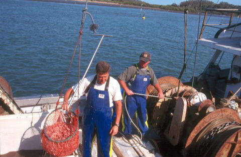 Comarong Cottage - Australia Accommodation 9