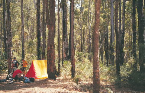 Nanga Mill Camp At Lane Poole Reserve - Australia Accommodation 0
