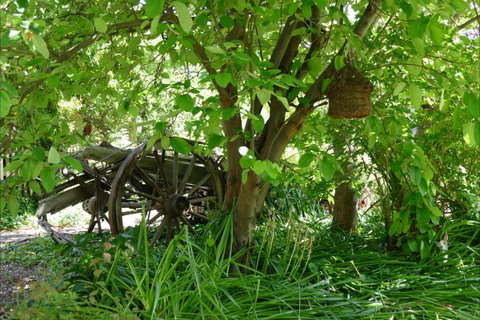 Willowbrook Heritage Bed & Breakfast - Australia Accommodation 7