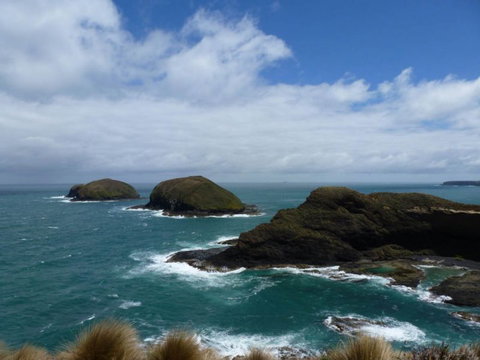 Arties Cottage Accommodation - Australia Accommodation 9