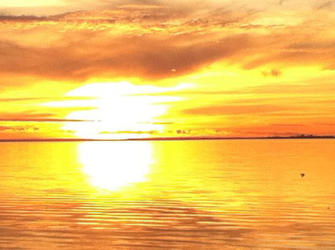 Dalton On The Lake - Australia Accommodation 3