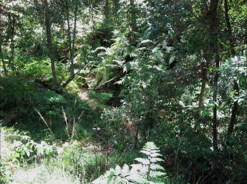 Dunns Creek Downs Nature Stay - Australia Accommodation 2