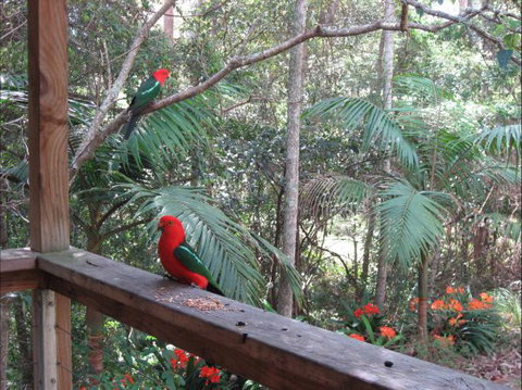Dunns Creek Downs Nature Stay - Australia Accommodation 4