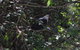 Dunns Creek Downs Nature Stay - thumb 5