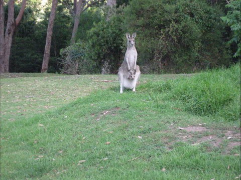 Dunns Creek Downs Nature Stay - Australia Accommodation 6