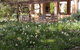 Garden Pavillion Bed And Breakfast At AL RU Farm - thumb 2