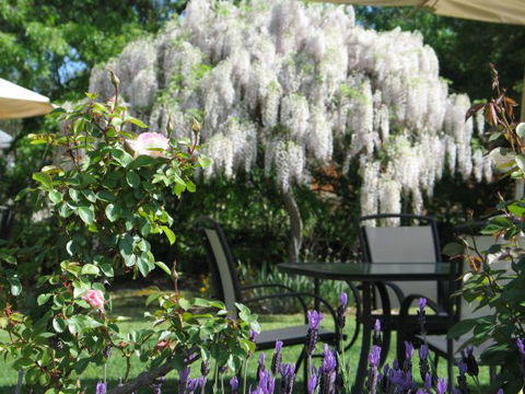 Wine Village Motor Inn - Australia Accommodation 5