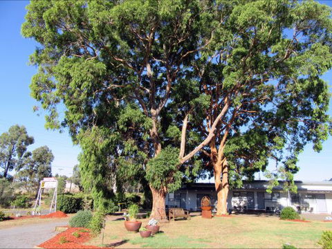 Highlander Haven Motel - Australia Accommodation 3