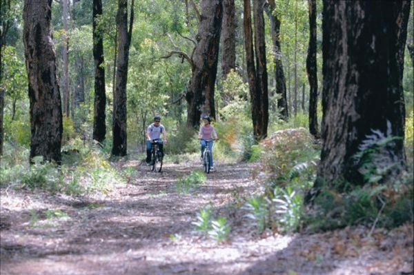 Dardanup West WA Australia Accommodation