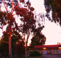 Murray Bridge Central Olympic Motel and Cottages - Australia Accommodation