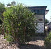 Loxton Smiffy's Bed And Breakfast Coral Street - Australia Accommodation