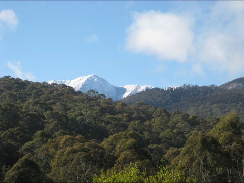 Moonlight Ridge Chalet - Australia Accommodation 0