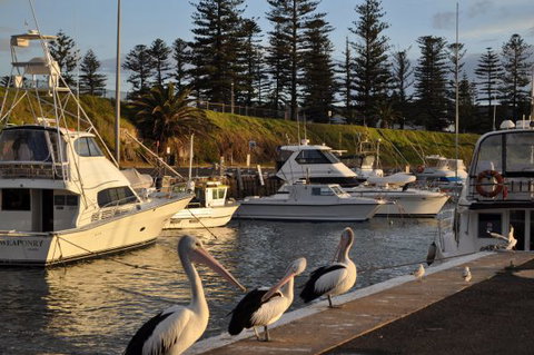 Nautica Accommodation Gerringong - Australia Accommodation 2