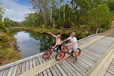 Saintys Creek Cottage - Australia Accommodation 6