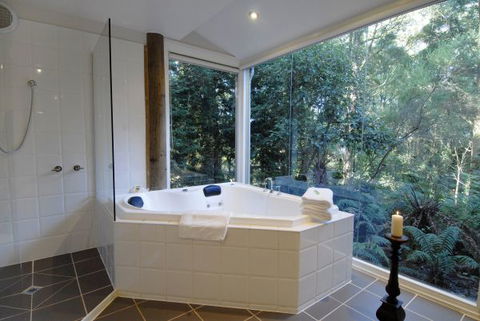 Arnica Views Summit Retreat - Australia Accommodation 5