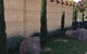 Ballaratprimavera - thumb 1