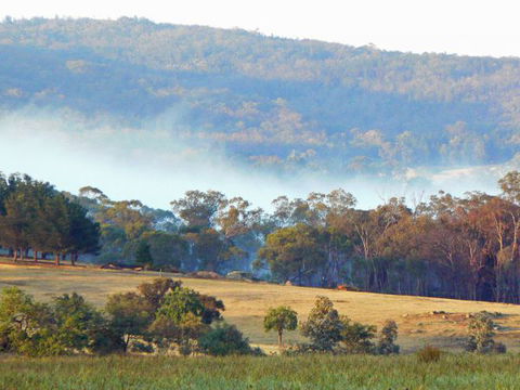 Candlebark Retreat - Australia Accommodation 1