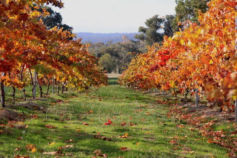 Candlebark Retreat - Australia Accommodation 2