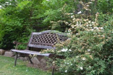 Garden Cottage B And B - Australia Accommodation 4
