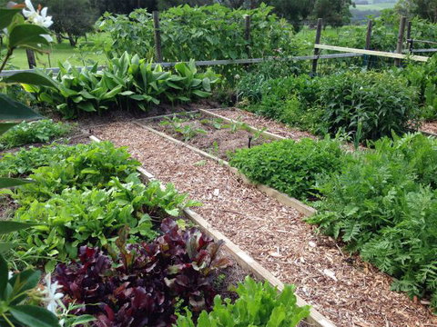 Jamberoo Valley Farm - Australia Accommodation 3