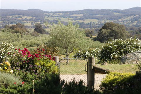 L'Oliveraie - Australia Accommodation 1