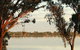 Barmera Lake Resort Motel - thumb 5