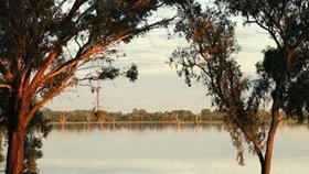 Barmera Lake Resort Motel - Australia Accommodation 5