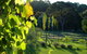 Old Chilli B&B Daylesford - thumb 3