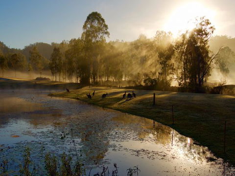 Ramada Resort Kooralbyn Valley - Australia Accommodation 6