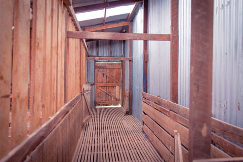 Sandalwood Shearing Shed - Australia Accommodation 8