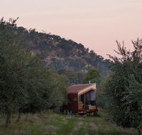 Shacky in the Olive Grove - Australia Accommodation