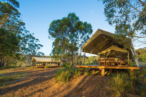 Tanja Lagoon Camp - Australia Accommodation 0