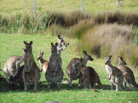 Tanja Lagoon Camp - Australia Accommodation 6