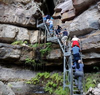 Takarakka Bush Resort Carnarvon Gorge - Australia Accommodation
